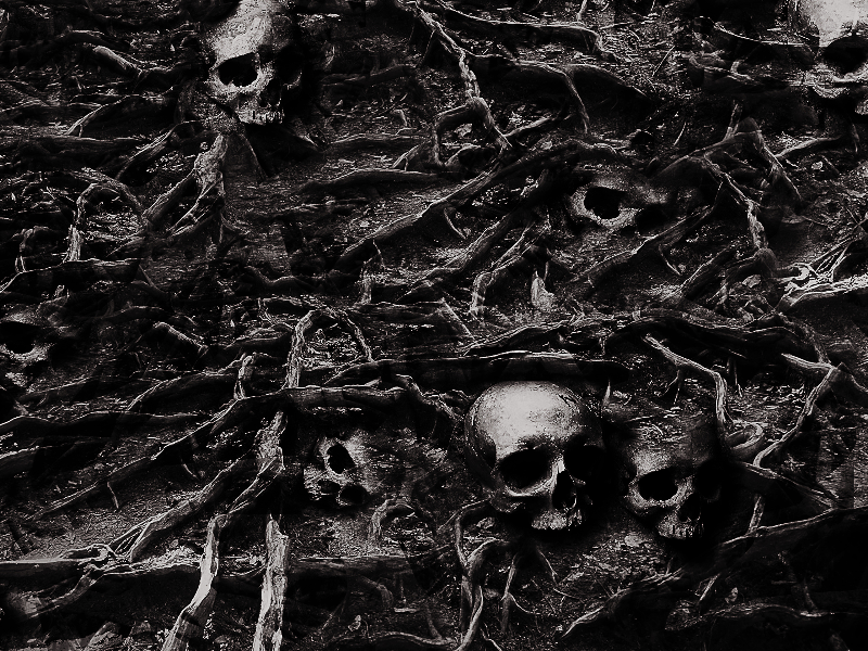 Horror Skull Background Texture Free