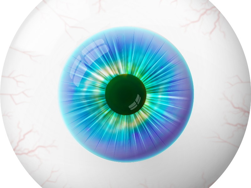 Human Cartoon Eye Image PNG