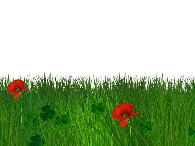 Isolated Grass Border With Poppy Flowers Free Seamless Background