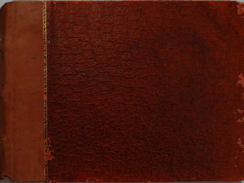 Old Snake Skin Book Cover Texture