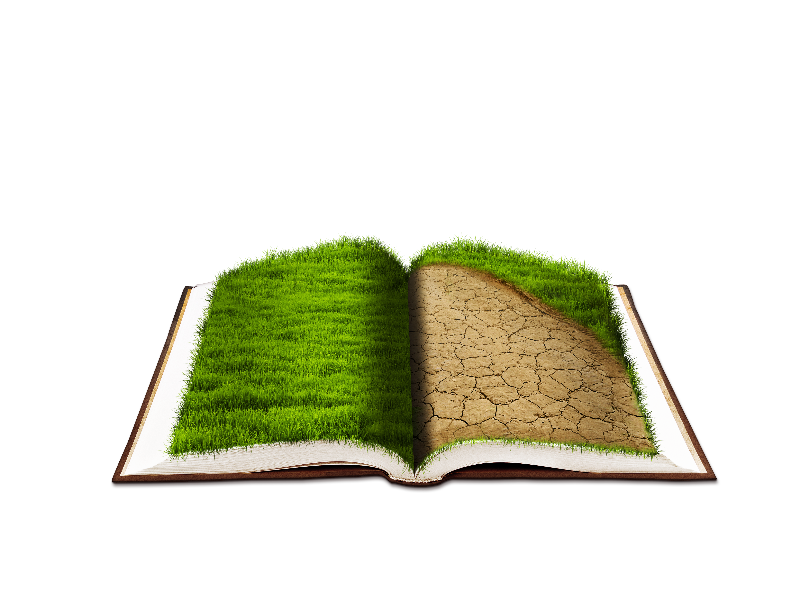 Open Book PNG with Grass Texture