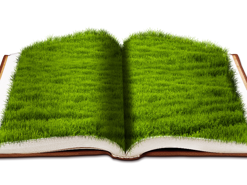 Open Book With Green Grass Png Background Image Free text effect