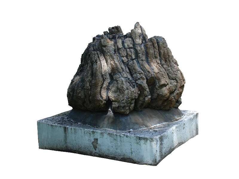 Petrified Rock Tree Trunk PNG