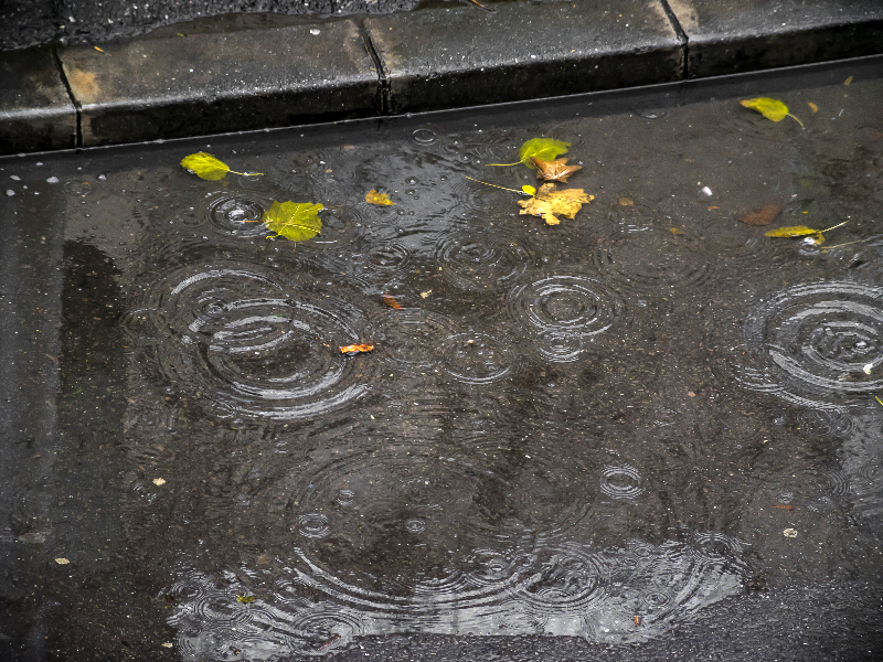 Rain Puddle on Ground Texture Free