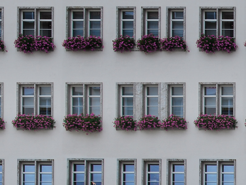 Seamless building and windows free texture