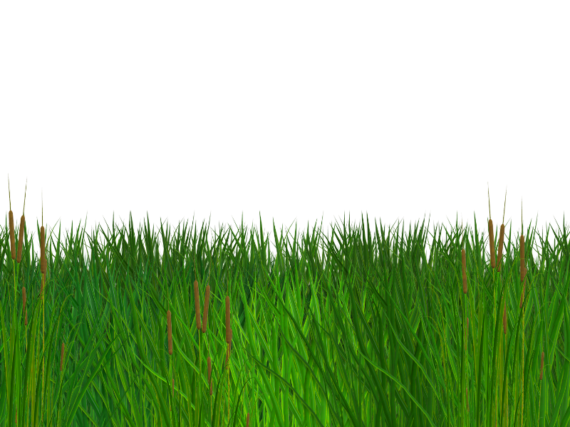 Seamless Grass Border Free PNG Clipart