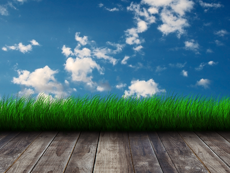 Sky Wall with Grass Border Room Background