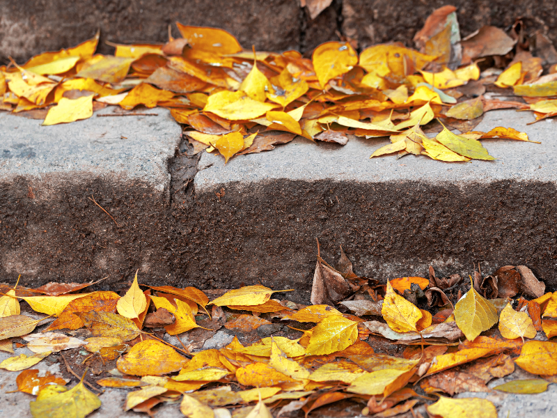 Stairs With Autumn Leaves Stock Photo