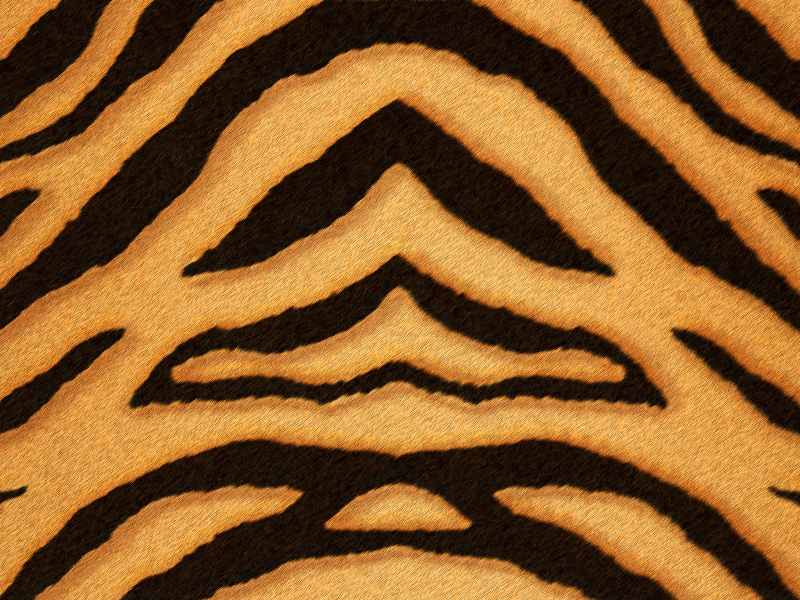Tiger Print Fur and Skin Texture Free