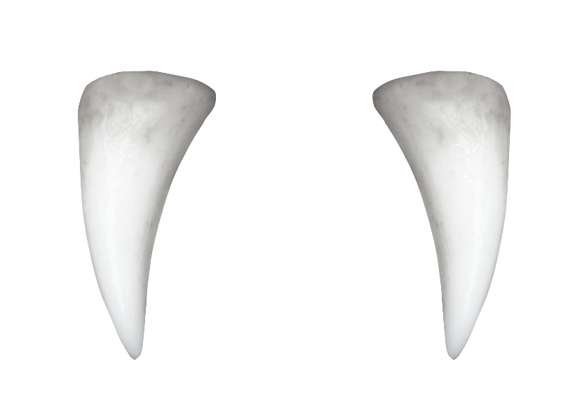 Vampire Teeth with Pointed Tooth PNG