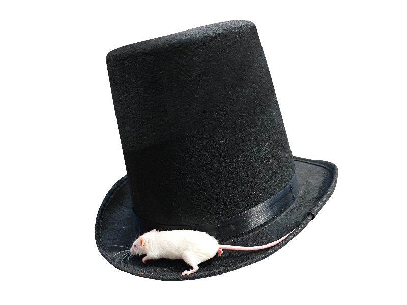 Magician Top Hat PNG With White Mouse