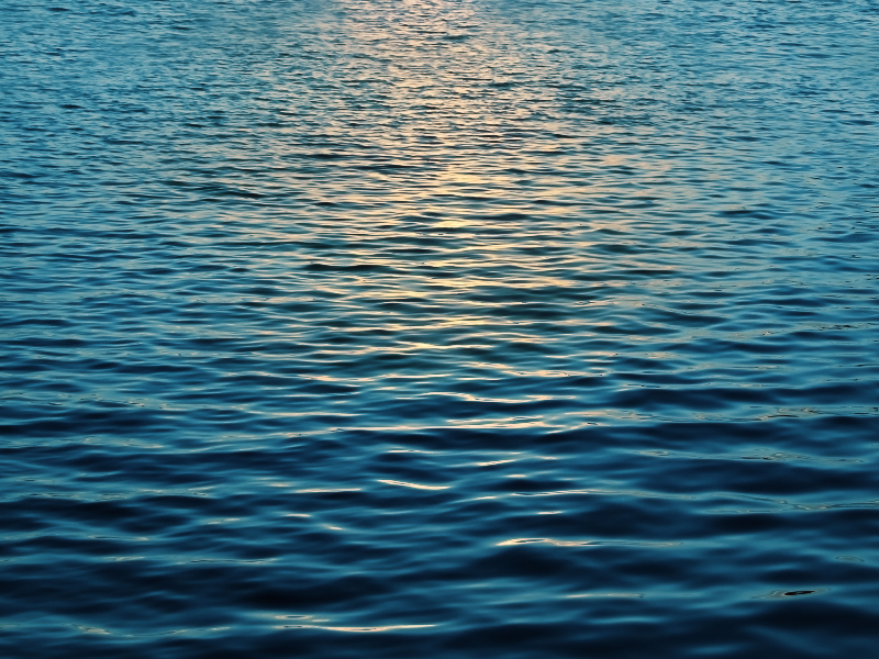 Water Surface With Sun Reflection Texture Free
