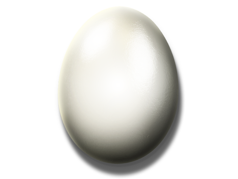 White Egg PNG